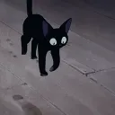 ᨐฅ all paws on deck !  Discord Server Icon