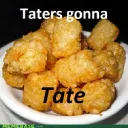 The Tatertot Club