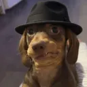 Inna De Poona Discord Server Icon