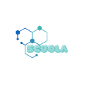 Scuola Olimpiade icon