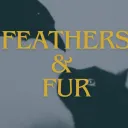 feathers & fur Discord Server Icon