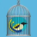Клетка Клюва🐤