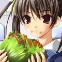 Visual Novel Readers