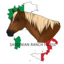 Sardinian Ranch Horse