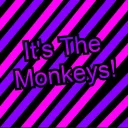 Its The Monkeys! | I.T.M