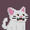 Seimese Cats