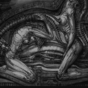 The Cult Discord server icon