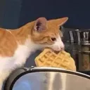Waffling Central's icon