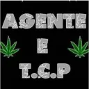 「☯TCP☯」VNL「☯TCP☯」