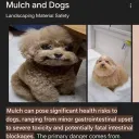 bootylicious Discord Server Icon