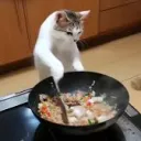 Hibachi