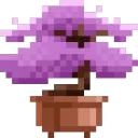 Purple Flowers