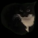 Mr Jone's TEST Server
