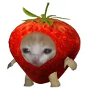 STRAWBEVES