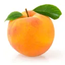 Serveur de Peche