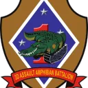 Company A, 3rd AAB