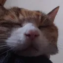 NonNonのサーバー