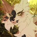 +.The war between the sky and the stars. .+ (Warriors cats roleplay pt/br)