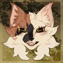 +.The war between the sky and the stars. .+ (Warriors cats roleplay pt/br)