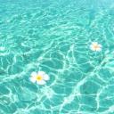 🫧🐟Hydration Hideaway!🐟🫧