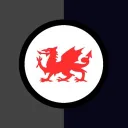 TASKFORCE DRAGON