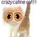 Cat Cafe ฅ^•ﻌ•^ฅ 15+ Discord Server Icon