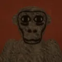 Chimp Tango