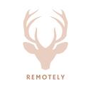 Remotely Discord Server Icon