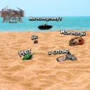 Пляжный Squad