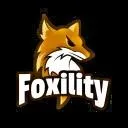 Foxility’s Testserver