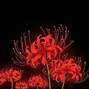 Peace Discord server icon