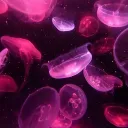 jellyfishes ➷