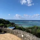 野獣の森