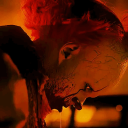 ﹒ ﹒Derry Town ﹒ ﹒djtl Discord server icon