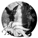──   𝅄  ۪   ݁The Land Of Forgotten ⸝⸝  !  ⌢  ࣪