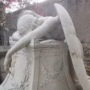 ノ　﹒　⍴іᥱrᥴᥱძ 🕊 — 사랑