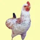 Chickens Minecraft Server