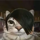 Meow