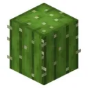 Xero SMP