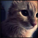 Discovery icon for 𐋃 Yeni Sezon | Yakında Discord server