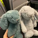 plush 𓂃 europe﹒social﹒dating