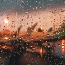 Noah's lounge's icon