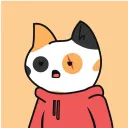 Chill Cat_Sei