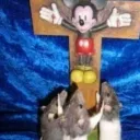 migração aos ratos 🔥🔥🔥🔥🔥🔥🔥's icon