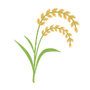 🍚壁打ち鯖🌾