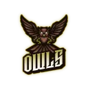 Owls | Nature League