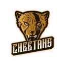 Cheetahs | Nature League