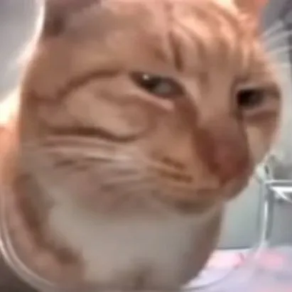 RobloxShop — monitoring serwera Discord, statystyki i ranking