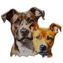 Roscoe & Stella's Discord Chat