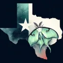 The Duchy of Lone Star